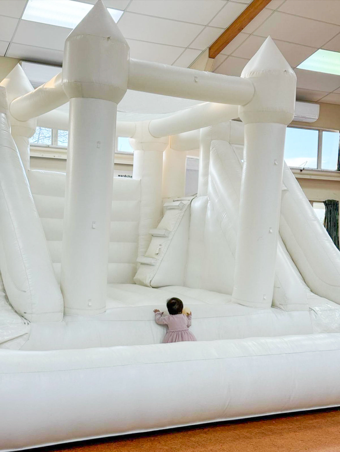 Double Slide Bounce House