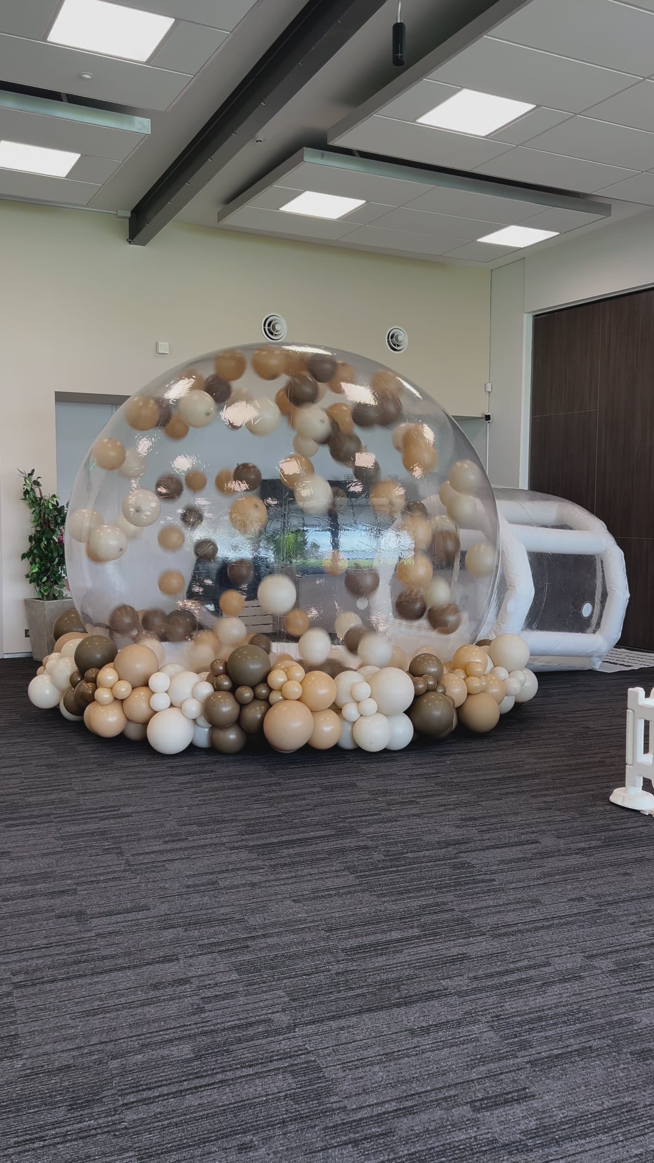 Bubble House Dome