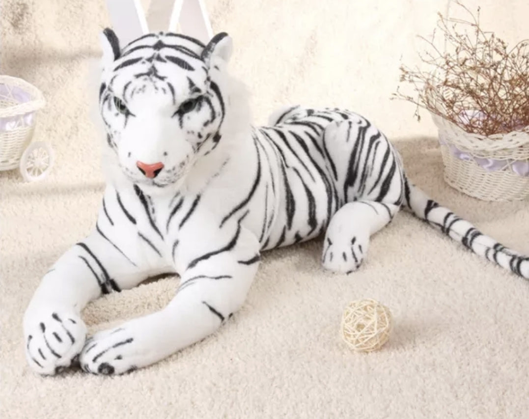 White Tiger animal